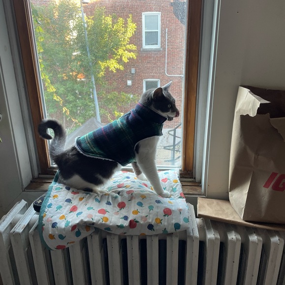 Dog whisperer jacket - Picture 2 of 5